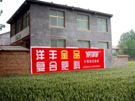 衡山如何让墙体广告展现最大化效果
