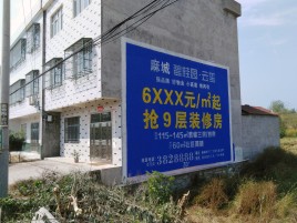 衡山墙体广告质量分析