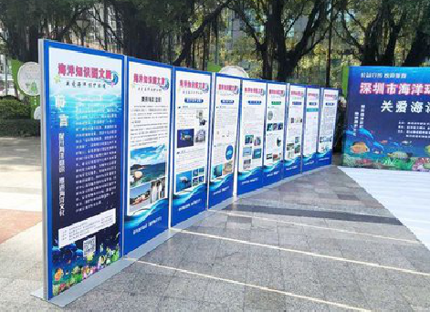 衡山KT板的种类和知识。